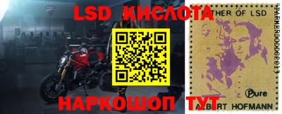 стафф Новодвинск