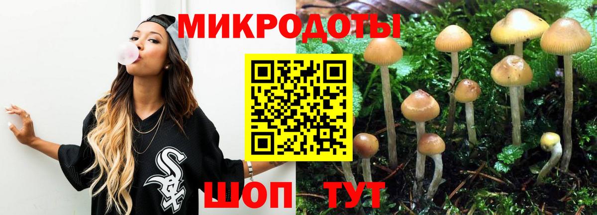 Галлюциногенные грибы мицелий  Вход с VPN  Тосно 
