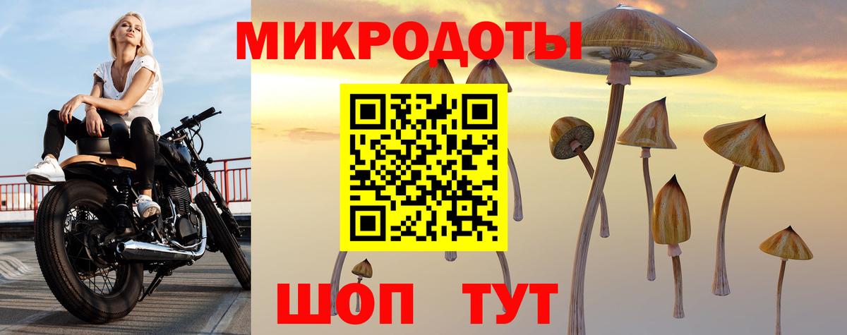 Псилоцибиновые грибы MAGIC MUSHROOMS Тосно